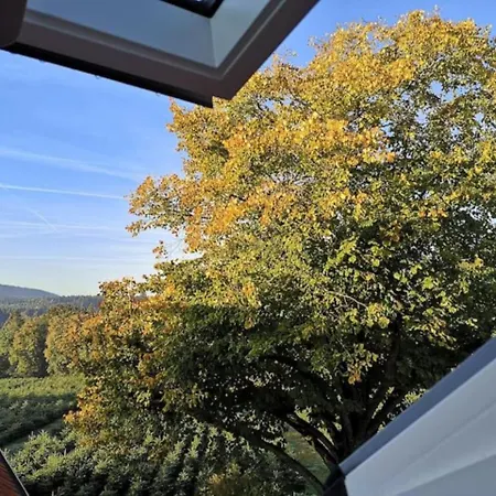 Gruene Oase Im Teutoburger Wald Georgsmarienhütte