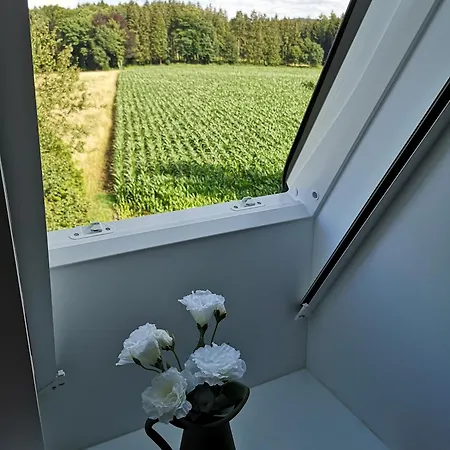 Gruene Oase Im Teutoburger Wald Apartment