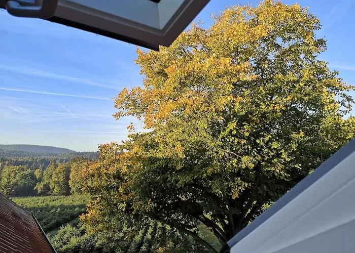 Grüne Oase Im Teutoburger Wald Georgsmarienhütte